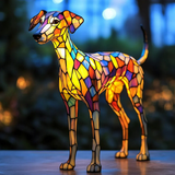 Sulokas whippet